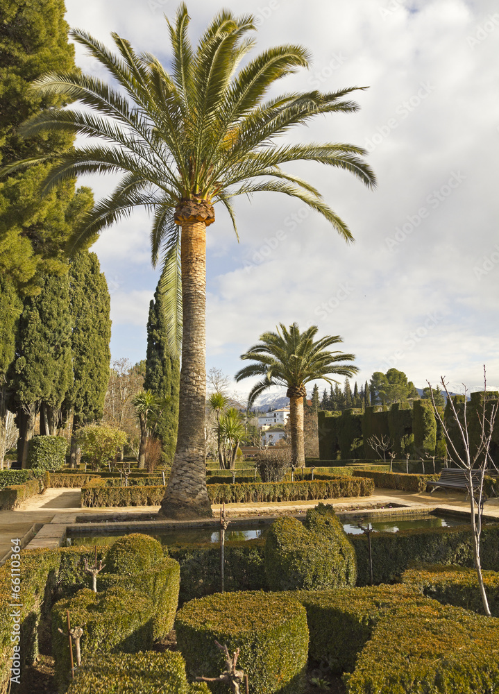 Fototapeta premium Alhambra gardens