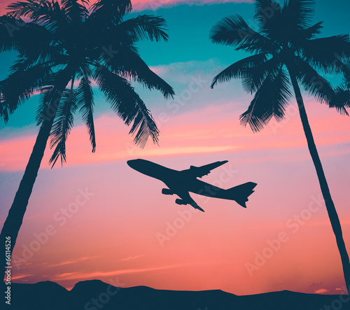 Retro Airliner With Palm Trees