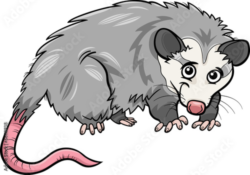 Wall Mural opossum animal cartoon illustration