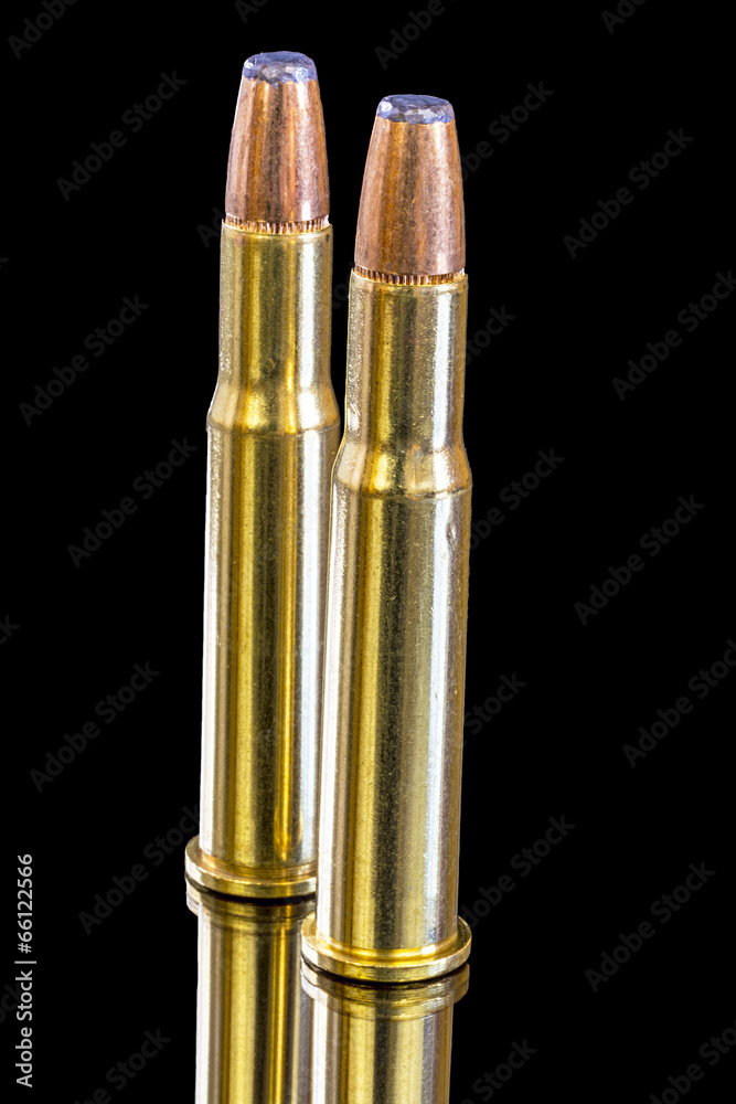 Brass and copper bullets standing up Brass and copper bullets standing up