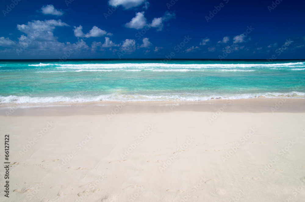 Obraz premium tropical sea