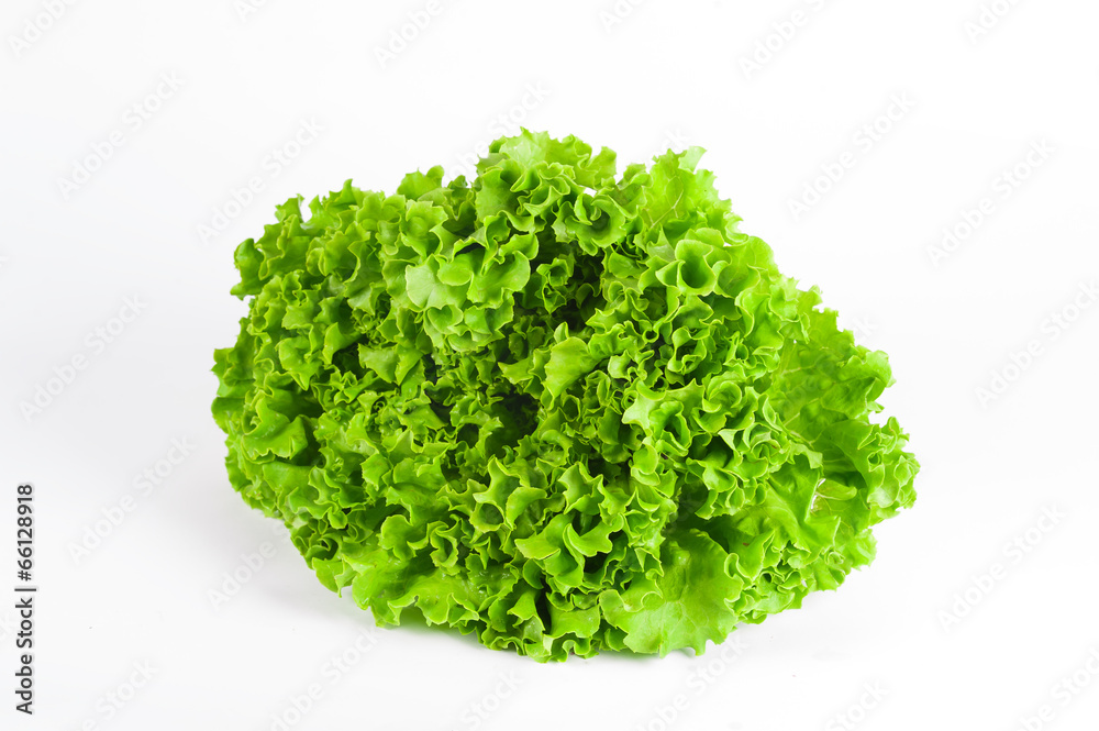 green salad isolated on a white background green salad isolated on a white background