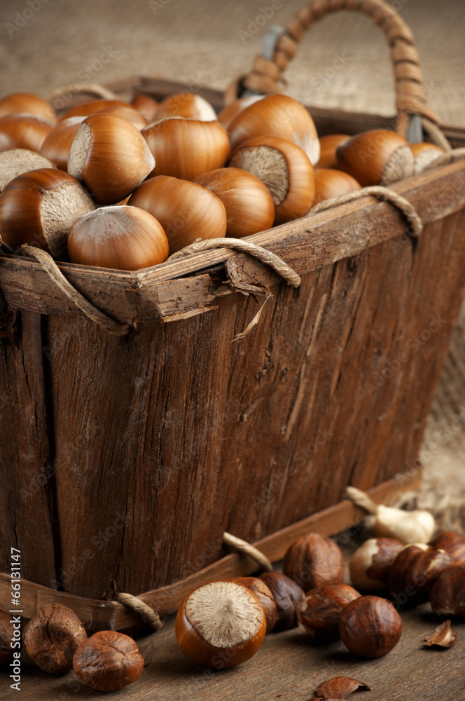 Hazelnuts in basket