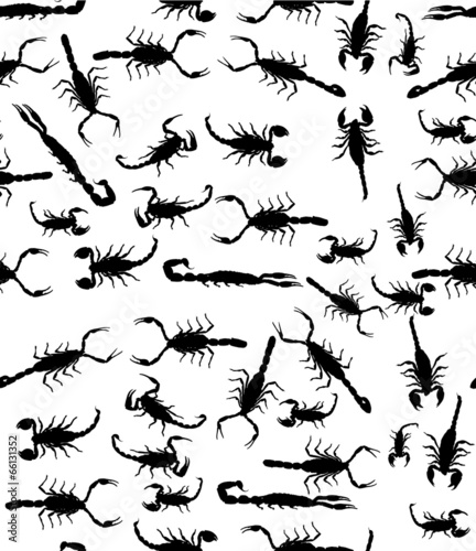 black scorpions seamless background © Alexander Potapov