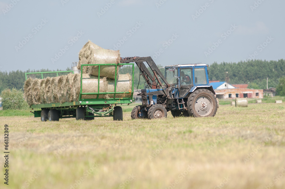 Obraz premium Mechanized harvesting of grass on the flood-plain meadow