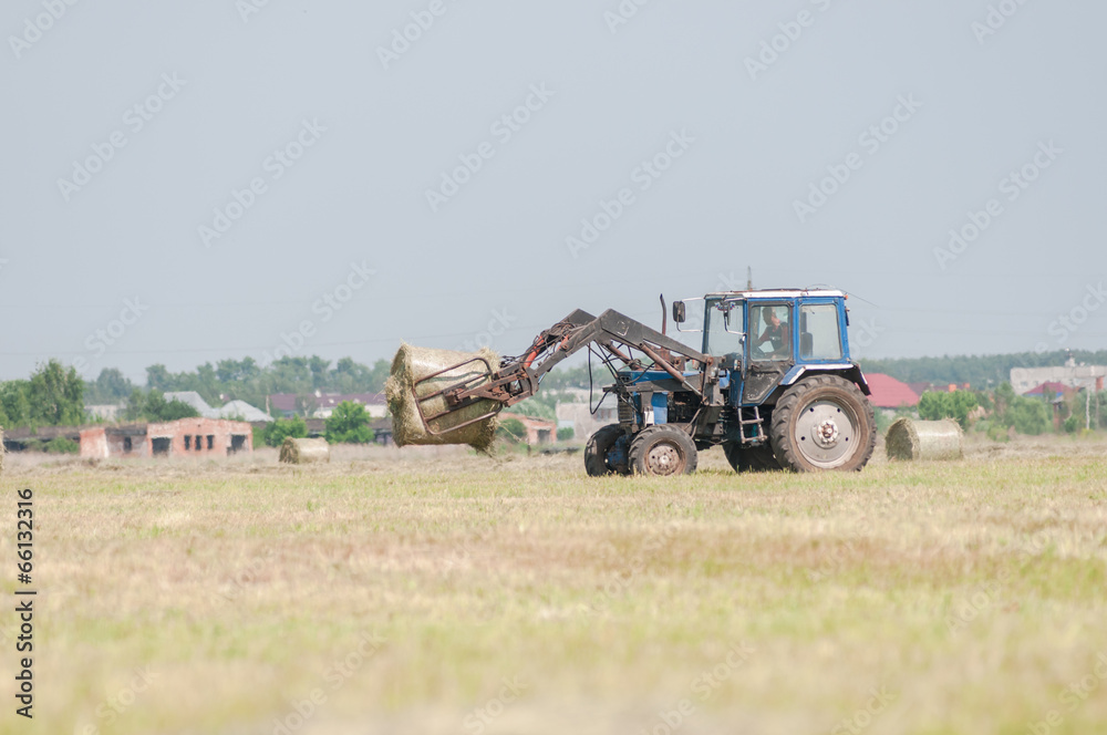 Fototapeta premium Mechanized harvesting of grass on the flood-plain meadow