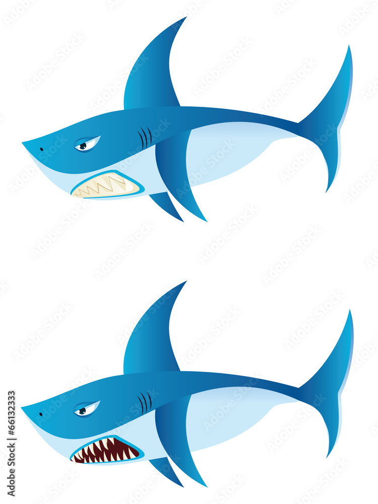 Obraz premium Great White Shark