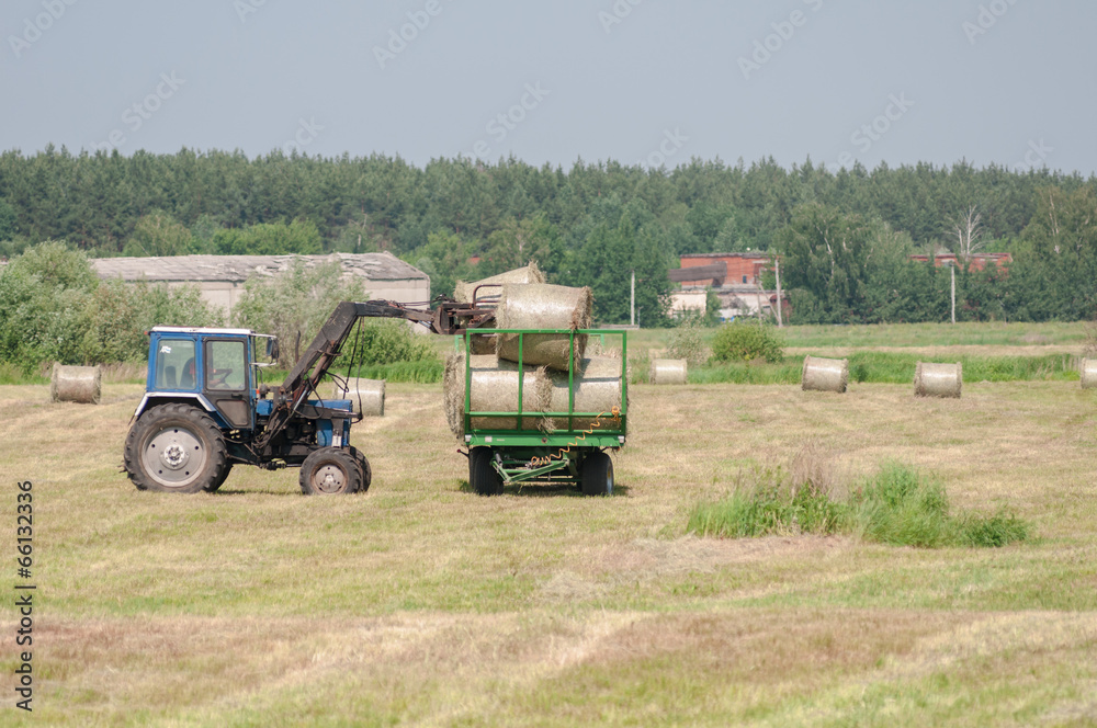 Obraz premium Mechanized harvesting of grass on the flood-plain meadow