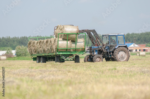 Mechanized harvesting of grass on the flood-plain meadow