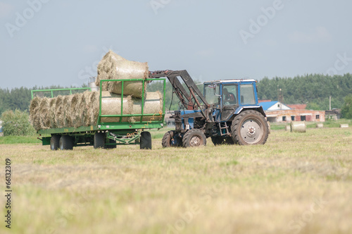 Mechanized harvesting of grass on the flood-plain meadow