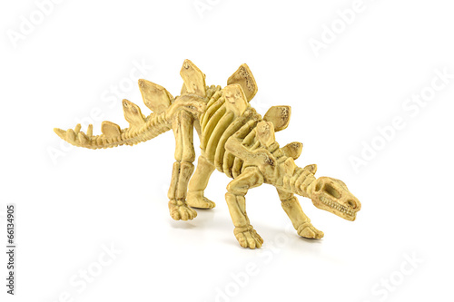 Stegosaurus fossil skeleton toy isolated on white © nicescene