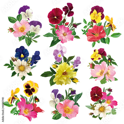 set of the pansy and roses