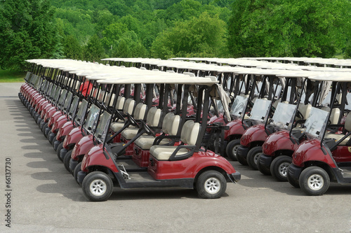 Bilde på lerret Golf carts