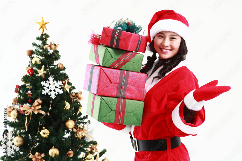 Christmas Costume Christmas Costume