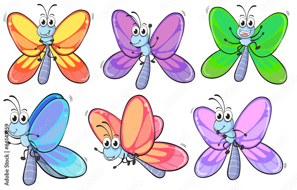 A group of colourful butterflies