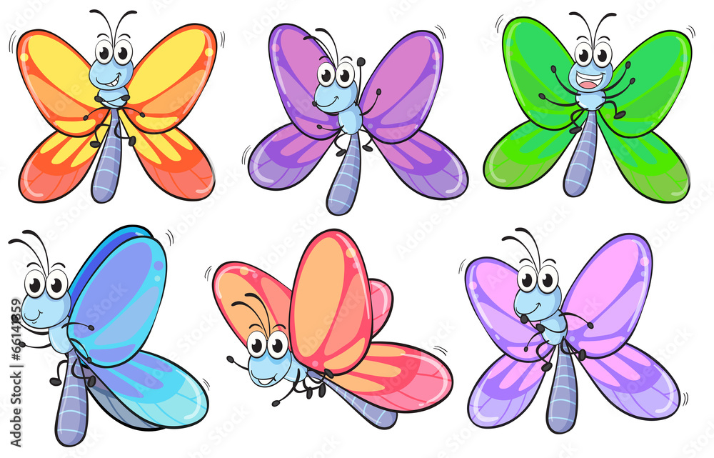 A group of colourful butterflies A group of colourful butterflies