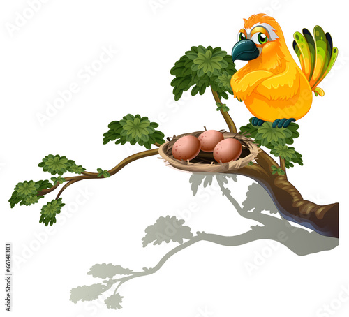 An orange bird watching the eggs