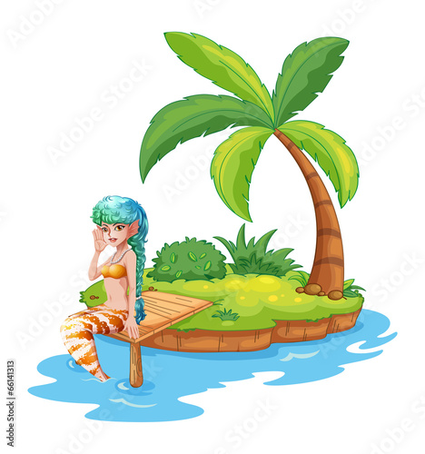 A pretty mermaid in the island