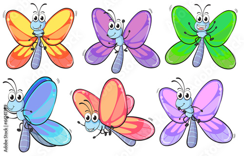 A group of colourful butterflies © GraphicsRF