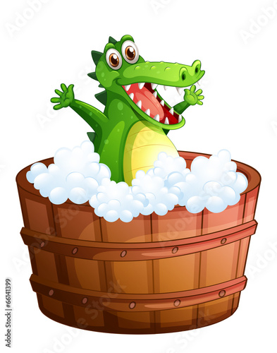 A crocodile taking a bath