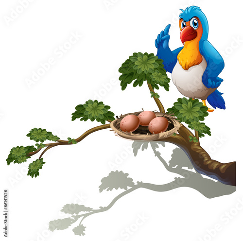 A parrot at the branch of a tree with a nest