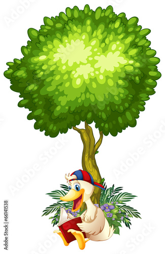 A duck reading under the tree