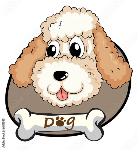 A head of a cute dog