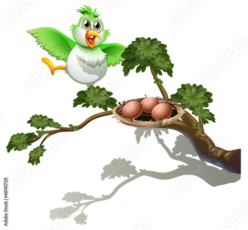A cute bird at the branch of a tree with a nest