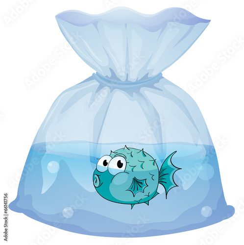 A blue fish inside the plastic