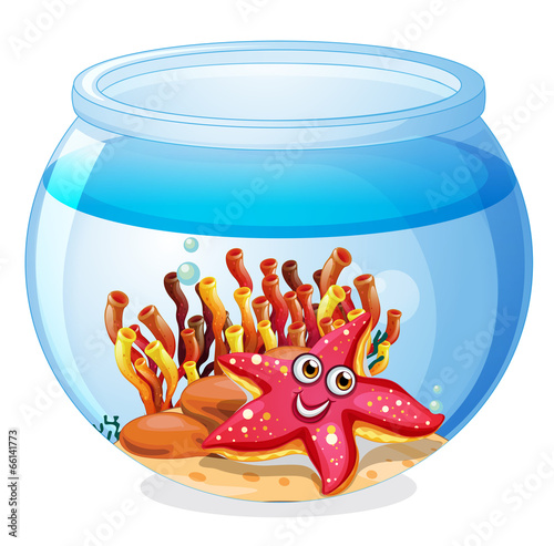 A starfish inside the aquarium
