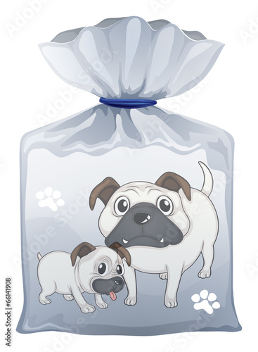 A plastic pouch with a picture of two cute dogs