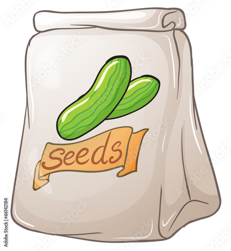 A pack of cucumber seeds