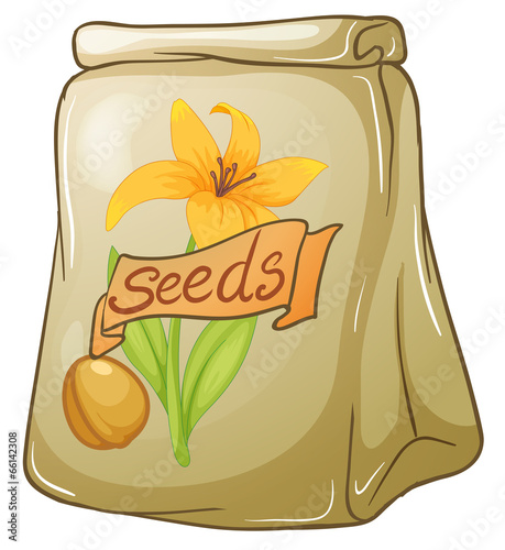 A pack of flower seeds