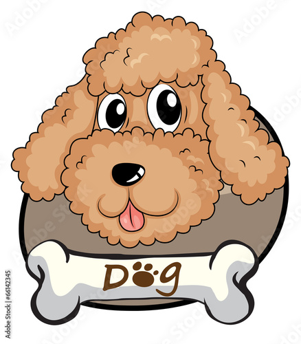 A brown puppy