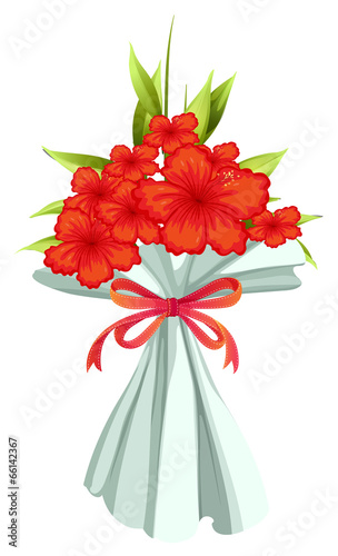 A boquet of red flowers