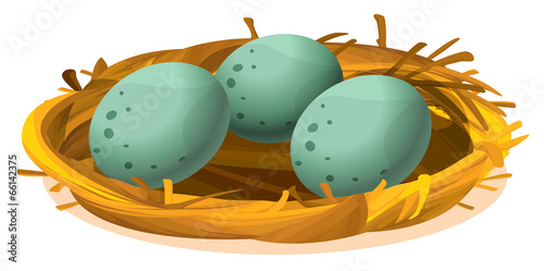 A nest with three eggs