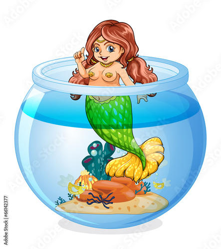 An aquarium with a mermaid