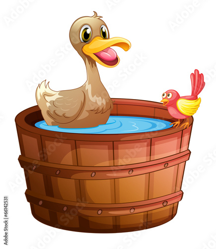 A duck and a bird taking a bath
