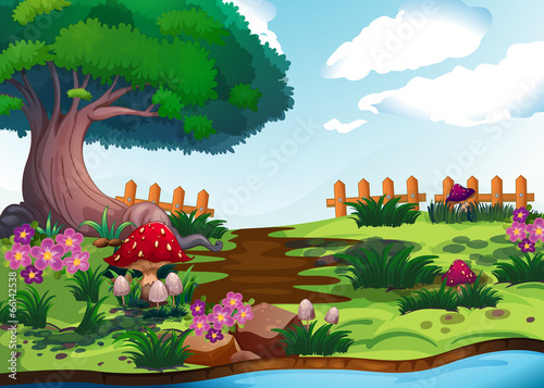 A big tree near the river