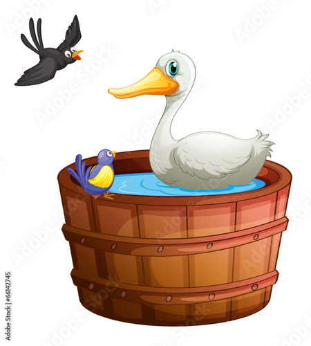 A bathtub with birds