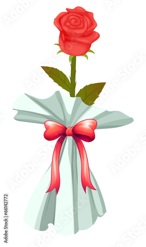 A red rose