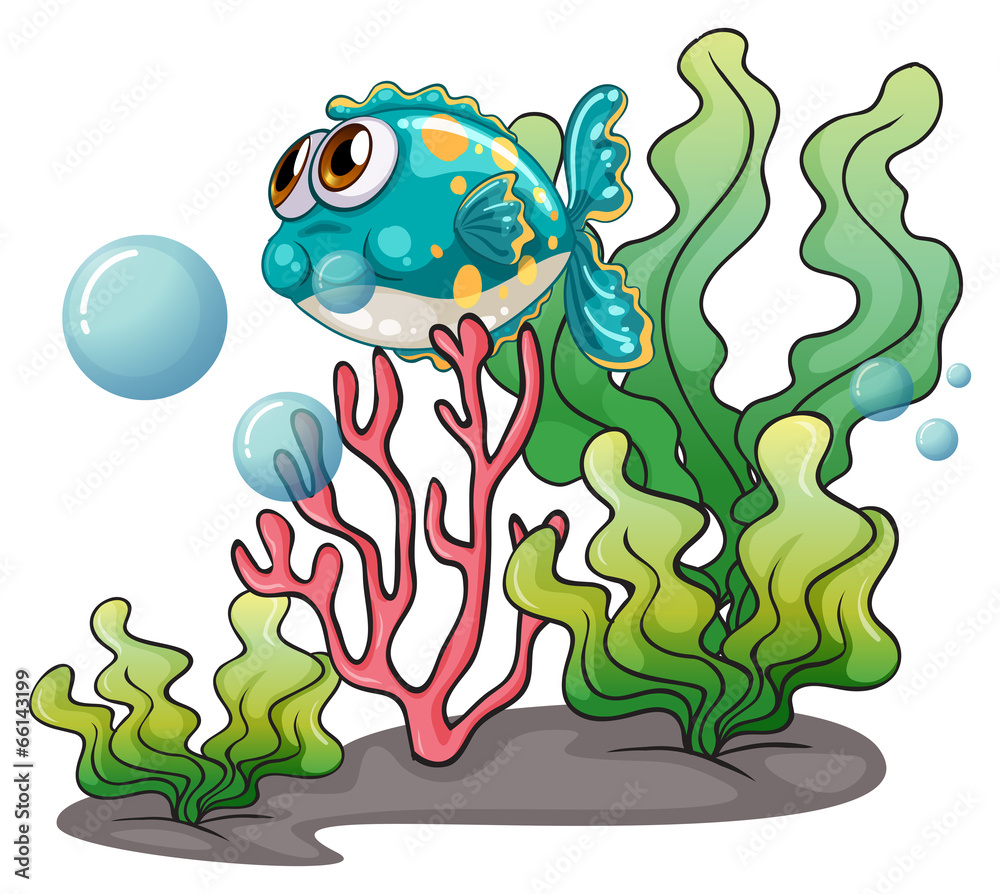 Obraz premium A fish under the sea near the seaweeds