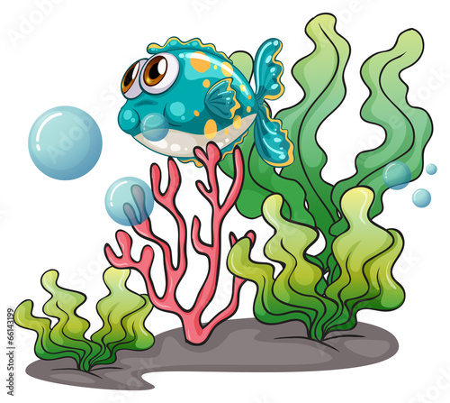 A fish under the sea near the seaweeds