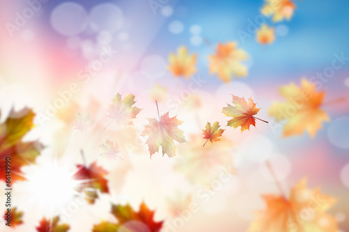 Autumn background