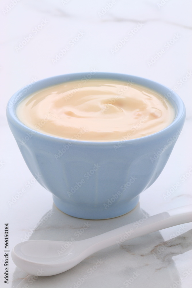 plain french style yogurt plain french style yogurt