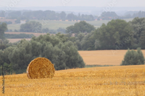 Rundballen auf dem Feld photo