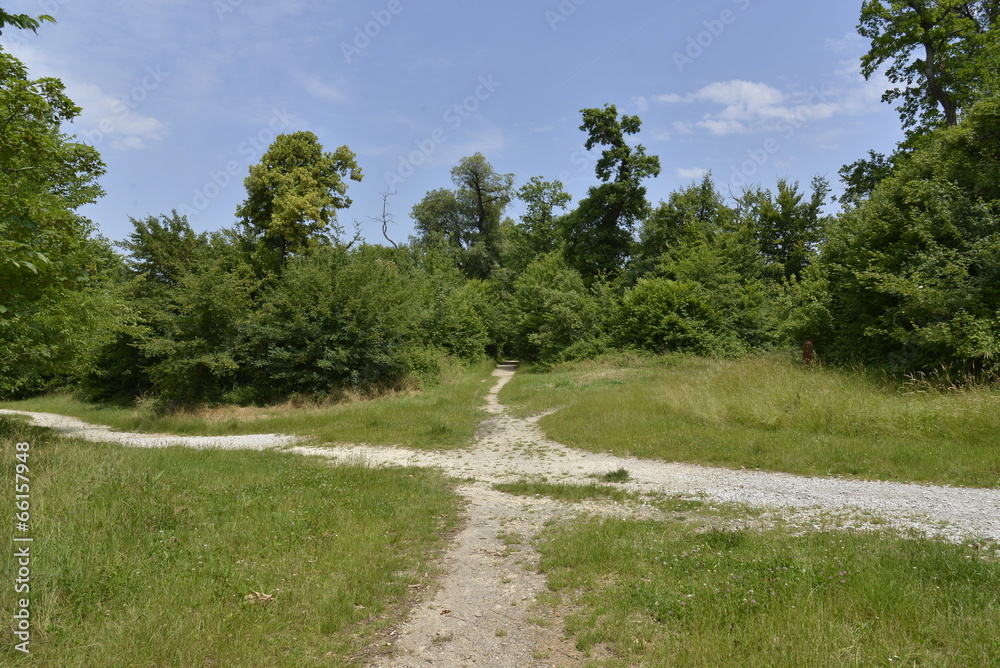 Croisement de chemins Croisement de chemins
