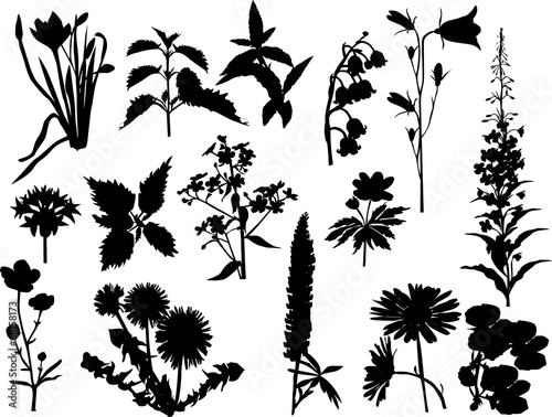 collection of fifteen black wild flowers silhouettes