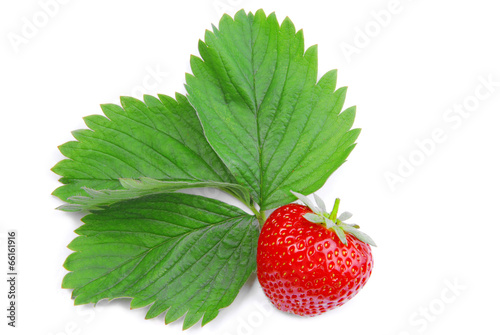 Wallpaper Mural strawberry isolated on white Torontodigital.ca