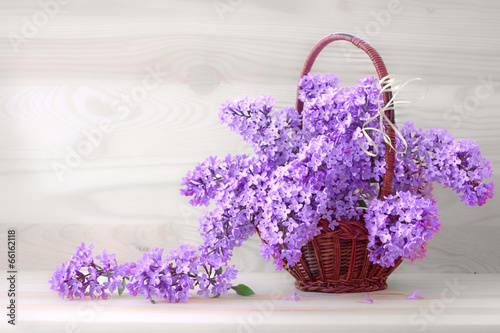 Lilac bouquet isolated on wood background. 